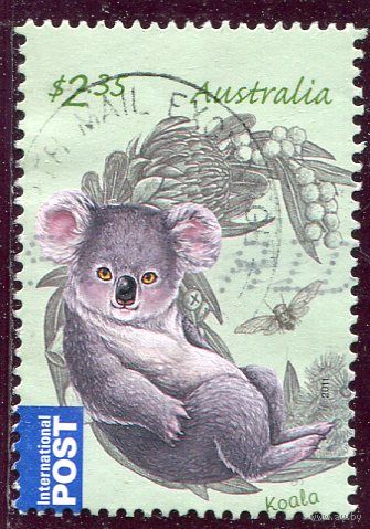 Австралия. Фауна