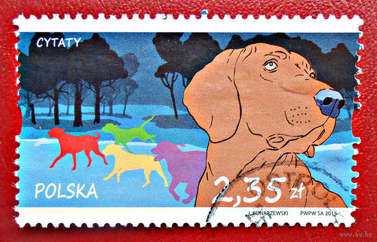 Польша, 2015 год, поговорки