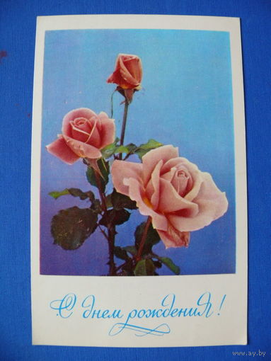 Фото О. Френкеля, С днем рождения! 1977, чистая.