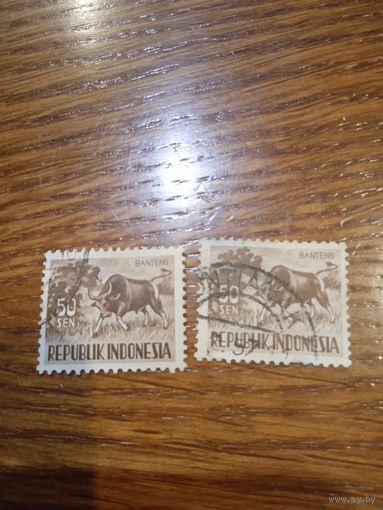 Марки