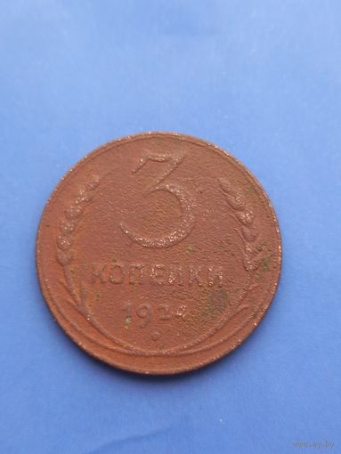 3 копейки 1924 год (173)