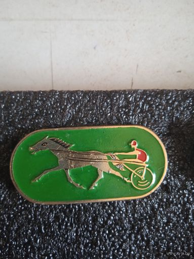 Конный спорт