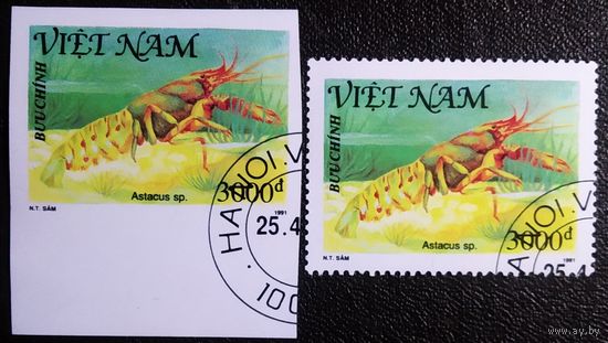 Марки Вьетнам 1991 год Раки