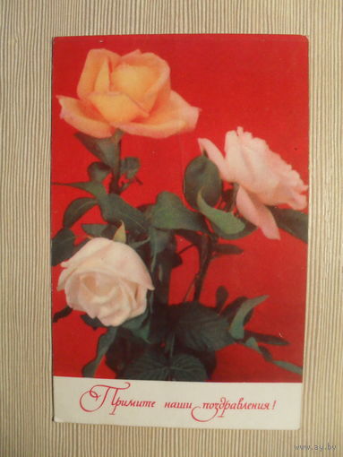 ПОДПИСАННАЯ ОТКРЫТКА. СССР. ПРИМИТЕ НАШИ ПОЗДРАВЛЕНИЯ! фото. Г. КОСТЕНКО. 1971 г.
