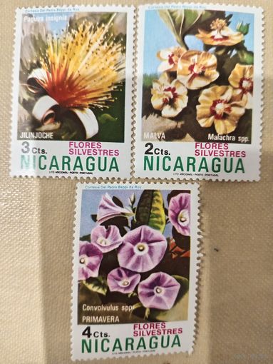 Никарагуа. Флора. Цветы