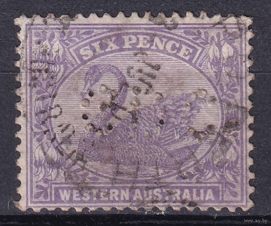 157.Aust. Великобритания. Австралийские штаты. Западная Австралия. Чёрный лебедь. Стандарт. 1906 г. 6p. Mi.#47. Перфин.