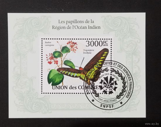 ФАУНА БАБОЧКИ НАСЕКОМЫЕ ЦВЕТЫ    БЛОК  сто