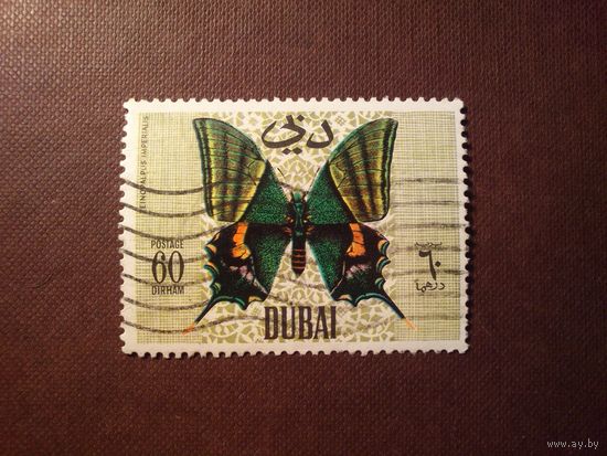 Дубай 1968 г.Бабочка Парусник (Teinopalpus imperialis)./44а/