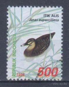 [2440] Индонезия 1998. Фауна.Птицы.Утка. Гашеная марка.