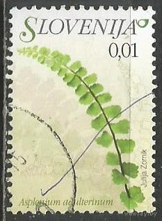 Словения. Цветы. Калифорнийская щитовка. 2007г. Mi#609.