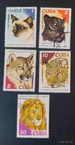Куба 1977 звери 5 из 6.