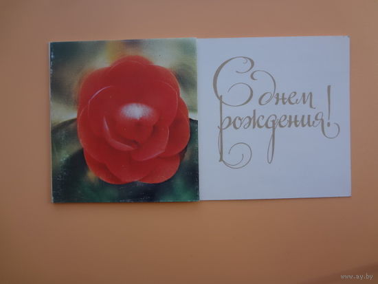 С днем рождения!  Цветок.  Харьков.