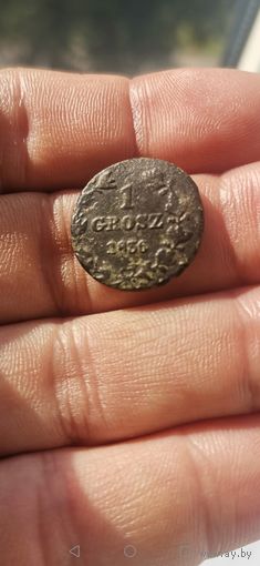 1 грош 1836 г. M W Рельефная