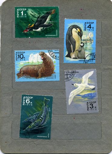 СССР, 1978, ЖИВОТНЫЙ МИР АНТАРКТИКИ,   серия, 5м
