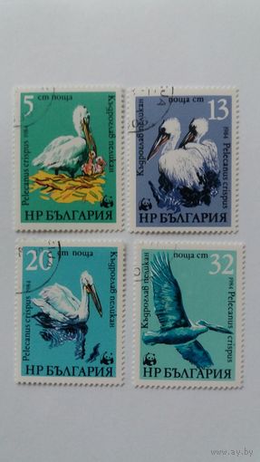 Болгария 1984 4м птицы