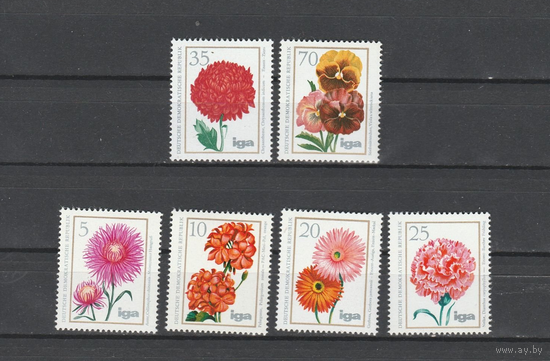 ГДР 1975 год. Астра (лат. Aster) род травянистых растений семейства Астровые Цветы Флора **