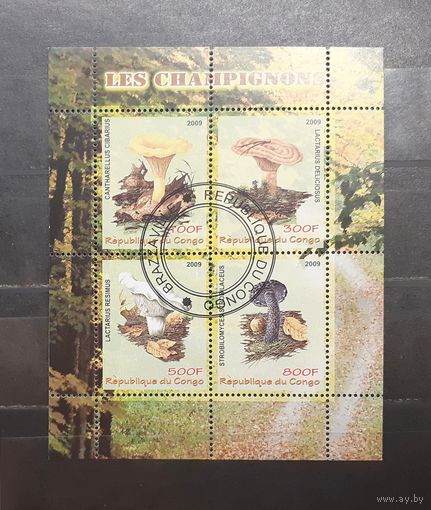 Конго. 2009 год. Флора. Грибы. Блок (1008)