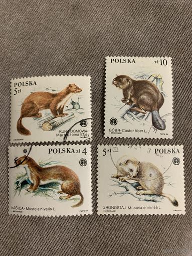 Польша 1984. Дикие животные.
