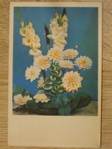 ПОДПИСАННАЯ ОТКРЫТКА СССР. ДЕКОРАТИВНЫЙ БУКЕТ. ФОТО. Л. РАСКИНА. 1968 год.