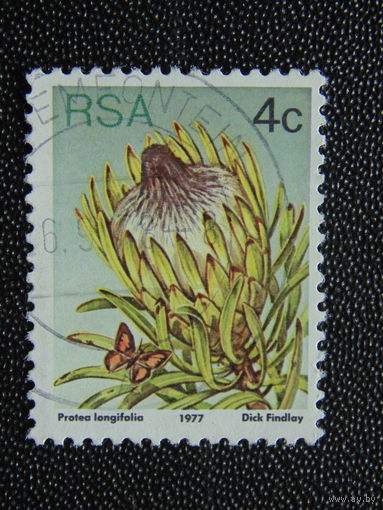 ЮАР 1977 г. Флора.