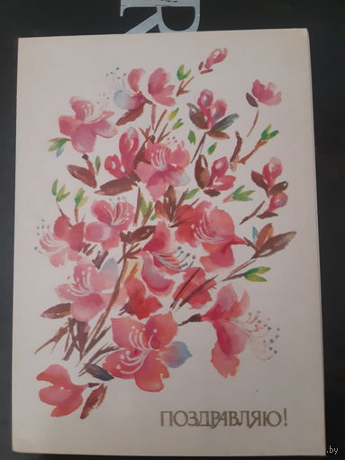 Соколова Поздравляю