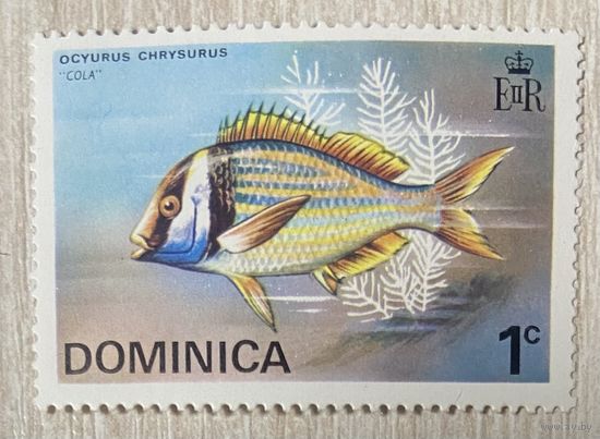 Марка Доминика острова фауна морская жизнь кола рыбы 1984 год