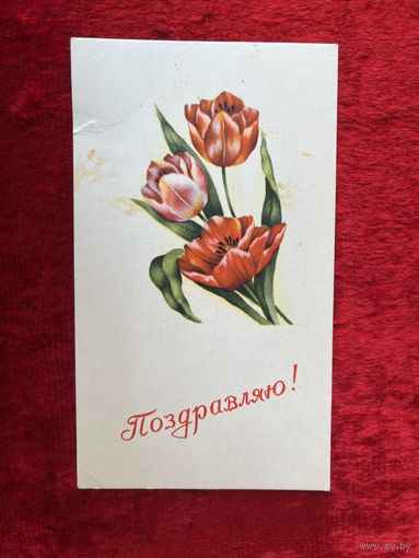 Поздравляю! 1971 год. БССР
