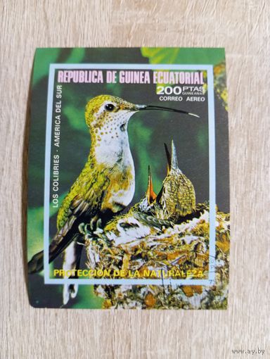 М-9. ГАШЕННЫЙ БЛОК. ЭКВАТОРИАЛЬНАЯ ГВИНЕЯ. ПТИЦЫ. ФАУНА.
