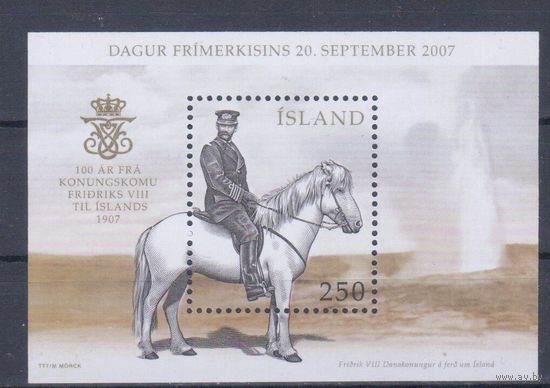 [1974] Исландия 2007. Фауна.Лошадь.Всадник. БЛОК MNH