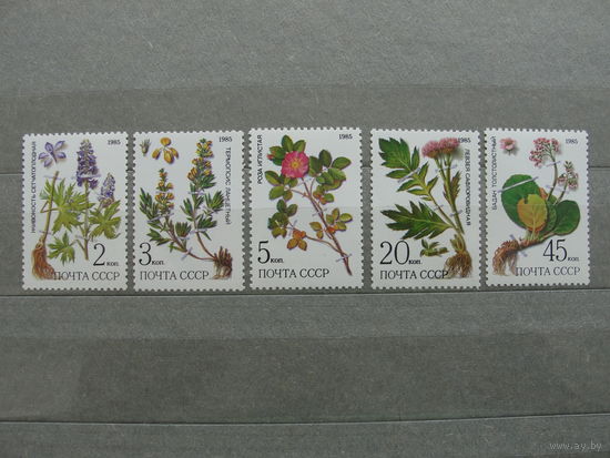 Продажа коллекции с 1 рубля! Чистые почтовые марки СССР в коллекционном** состоянии.