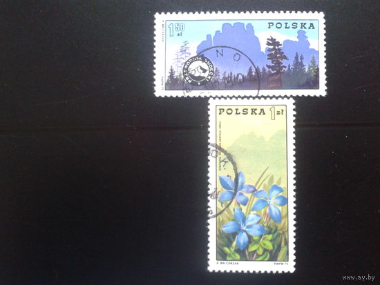 Полбша 1975 флора