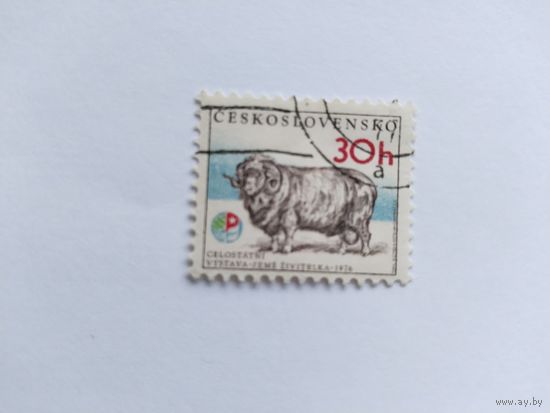 ЧССР  1976    баран