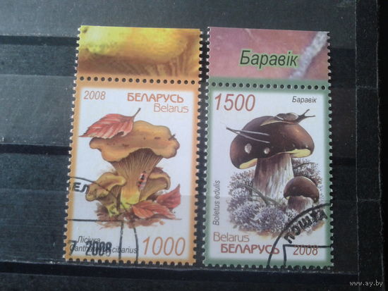 2008 Грибы Полная серия