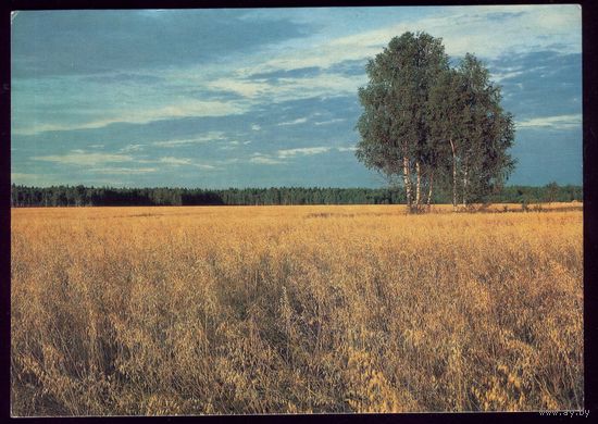 1986 год Пейзаж