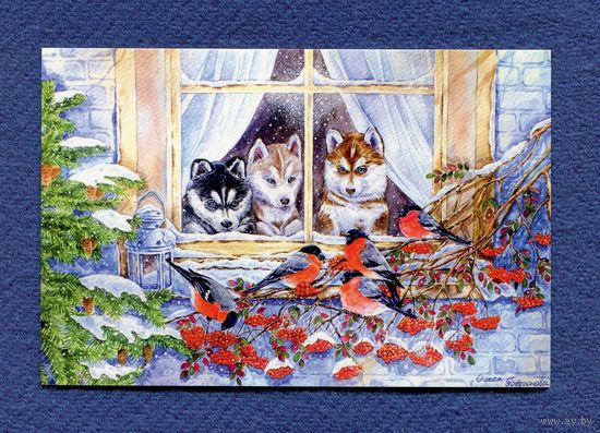 Бессонова Олеся - Снегири, Хаски - Чистая