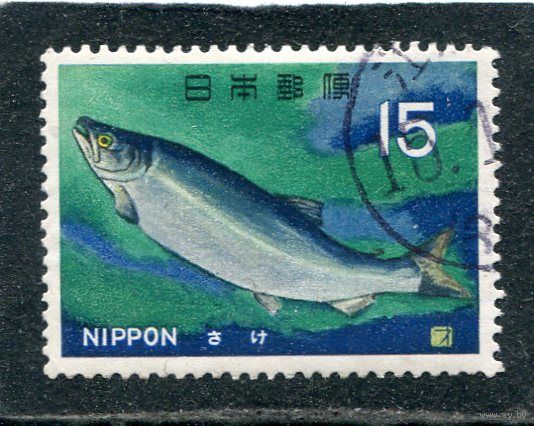 Япония. Фауна моря. Рыбы