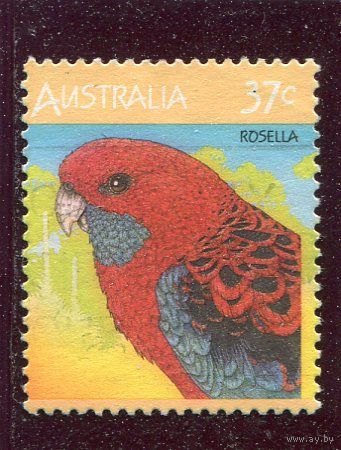 Австралия. Фауна. Попугай