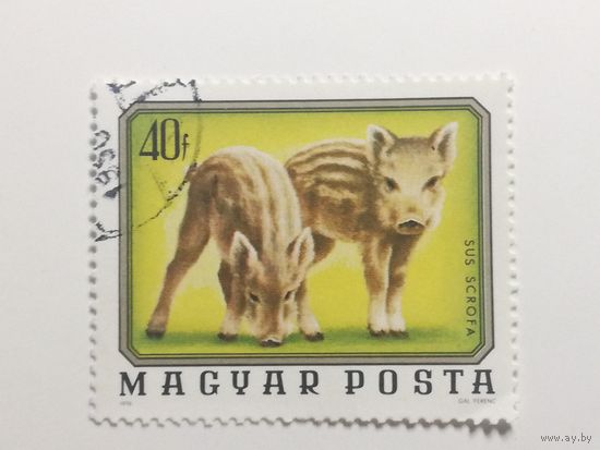Венгрия 1976. Молодые Дикие Животные