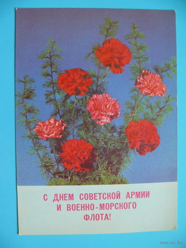 Круцко Б., С днем СА и ВМФ! 1989, чистая.