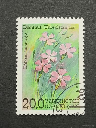 Узбекистан 1993. Цветы Узбекистана