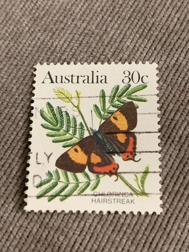 Австралия. Бабочки. Hlorinda hairstreak. Марка из серии