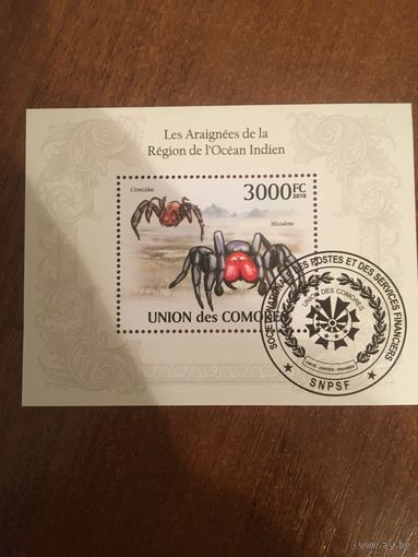 Коморские острова 2010. Пауки проживающие в регионе Индийского Океана. Блок.