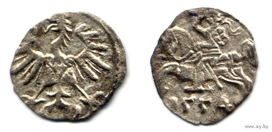 Денарий 1554, Жигимонт Август, Вильно, R3
