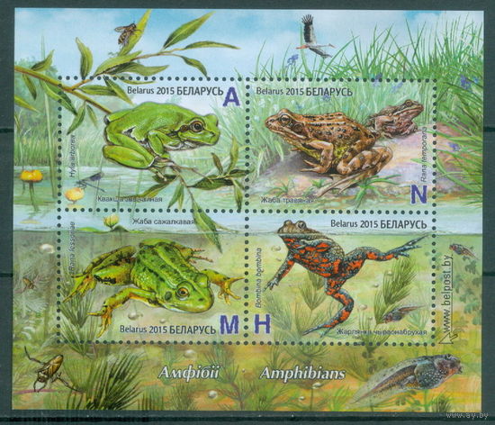 2015. 1089-1092. Амфибии **