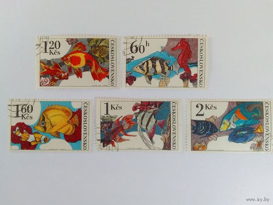 Марки Рыбы     Чехословакия   1975г  5 шт
