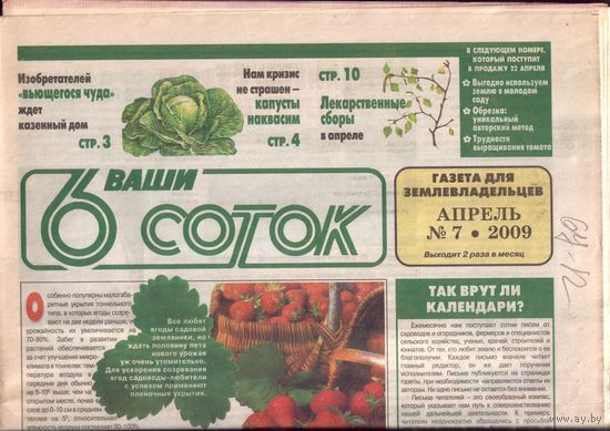 6 соток 7-2009