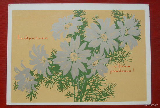 С днём рождения! Подписанная. 1967 года. Лесегри. 1370.