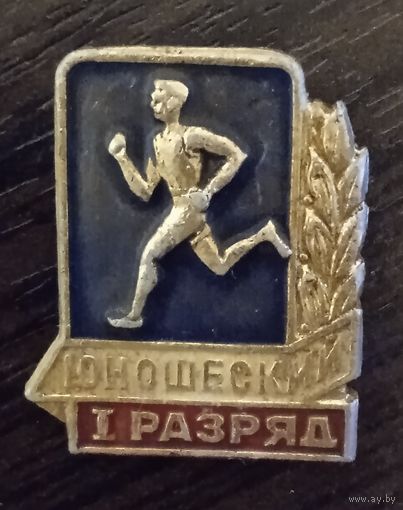 1 юношеский разряд.