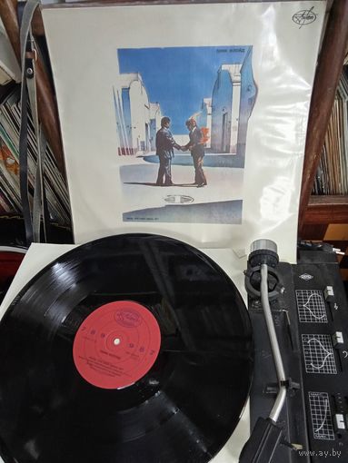 Pink Floyd Пинк Флойд Жаль, что тебя здесь нет Виниловая пластинка