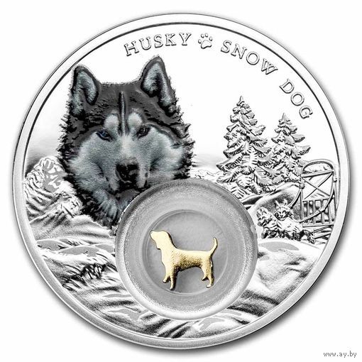 Камерун 1000 франков 2021г. "Собака - лучший друг: Хаски". Филигрань 24К Gold. Монета в капсуле; подарочной рамке - футляре; коробка - сертификат. СЕРЕБРО 28,28гр.